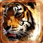 Cover Image of ダウンロード Tigers Wallpaper  APK