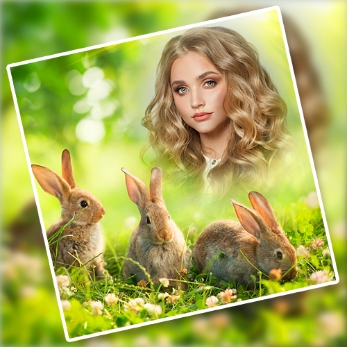 Wild Animal Photo Frames Screen 3