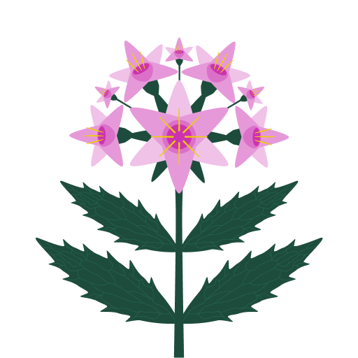 Valerian Root logo