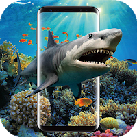 3D Акула в океане Видео Live Wallpaper бесплатно