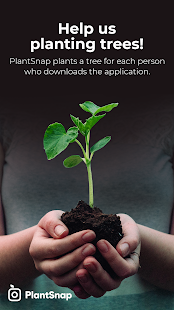 PlantSnap - Application d'identification de plante GRATUITE
