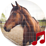 Cover Image of Télécharger Horse Sounds ~ Sboard.pro 1.1.3 APK