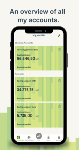 Android application DSB | Mobile Banking screenshort