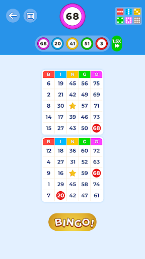 Bingo Game: Offline Party Game 3