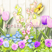 Icon&wallpaper-Spring Flowers-