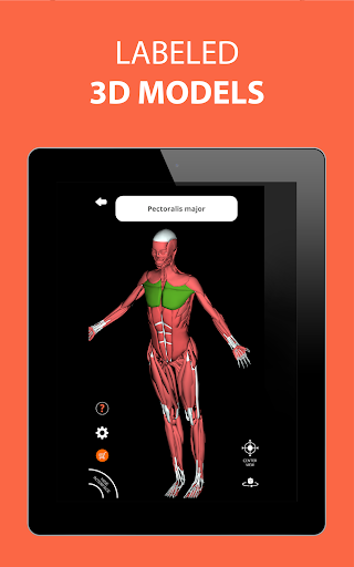 Screenshot of Human Anatomy Learning - 3D