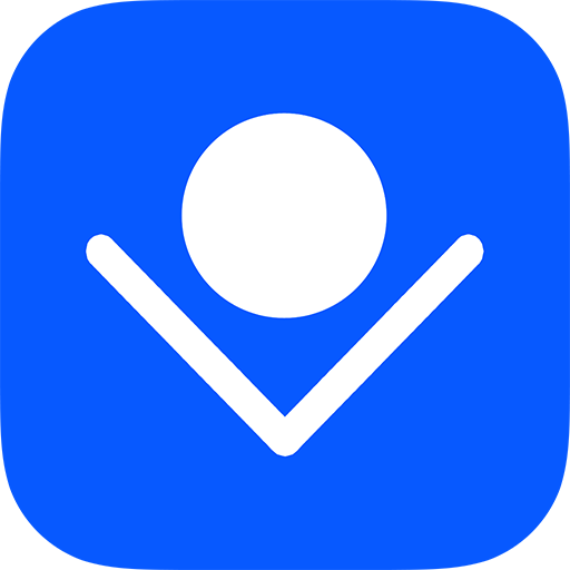 Bearing Pilot logo