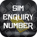 Sim Enquiry Number - Sim Details icon