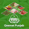 Qeemat Punjab icon