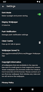 Screenshot image