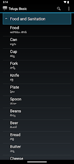 Telugu Basic Phrases