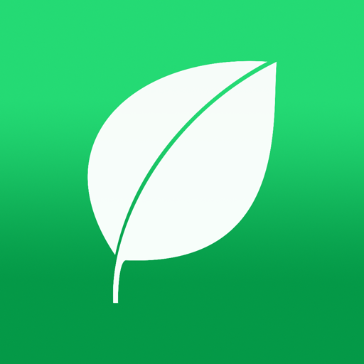 Mintgrooming logo