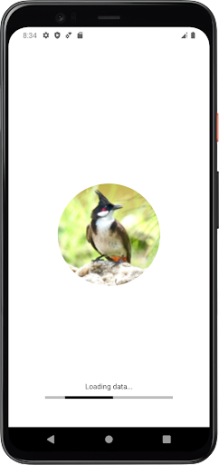 Android application Red Whiskered Bulbul Sounds screenshort