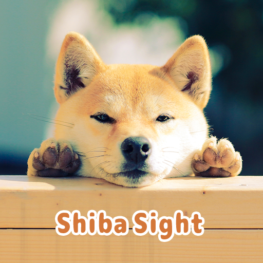 Shiba Sight Theme  Icon