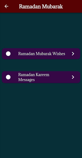 Ramadan Kareem Wishes 2024 Screen 3