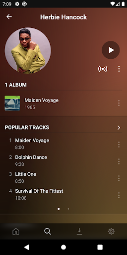 Screenshot of Plexamp