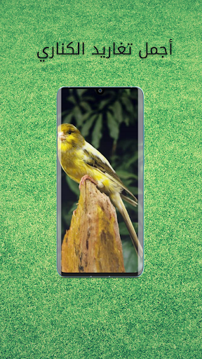 Android application اجمل صوت تغريد كناري screenshort