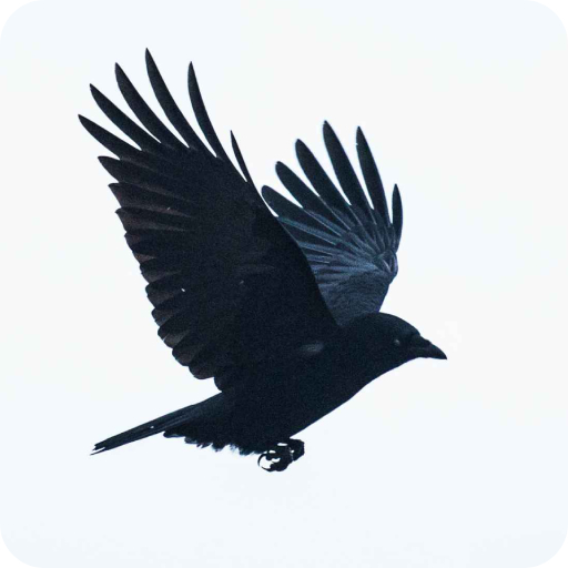 Crow Wallpaper logo