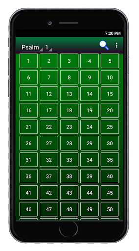 Bible AMP Screenshot