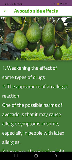 About Avocado Screen 2