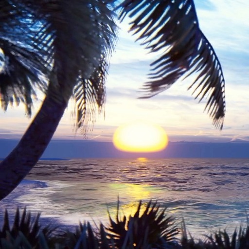 Tropical Ocean Live Wallpaper logo
