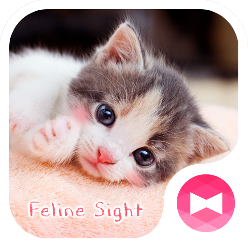 かわいい壁紙アイコン 子猫の視線 無料 Google Play のアプリ