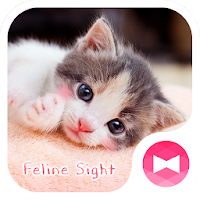 かわいい壁紙アイコン 子猫の視線 無料 Androidアプリ Applion