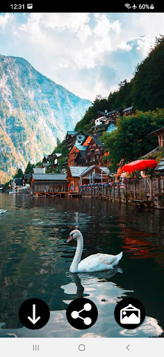 Swan Wallpapers Screen 3