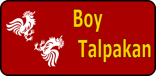 Boy Talpakan