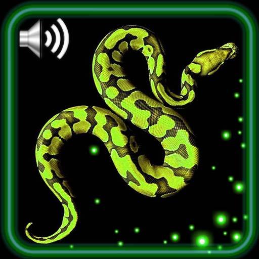 Snakes HD Live Wallpaper
