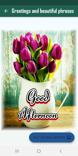 Greetings & beautiful phrases Screen 3