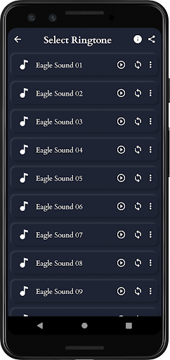 Eagle Sounds Screen 3