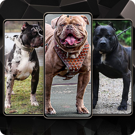 Pitbull Wallpaper logo