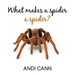 Obraz ikony: What Makes a Spider a Spider?