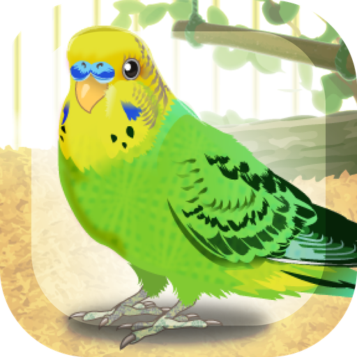 Parakeet Pet 1.1 Icon