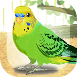 Parakeet Pet icon