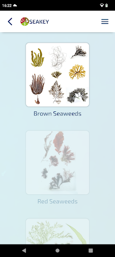 SeaKey Screen 2