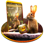 Cover Image of Download Rabbit in Space Launcher  APK