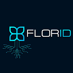 Florid.kz: Download & Review