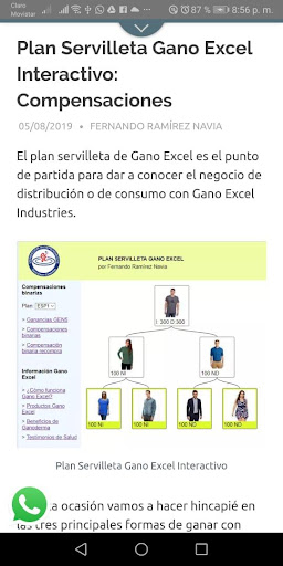 Emprende Gano Excel Screen 3