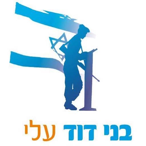 המכינה הקדם-צבאית בני דוד עלי logo