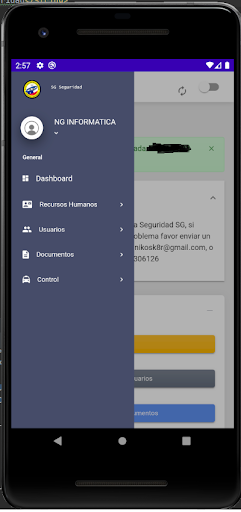 SG Seguridad Screen 2