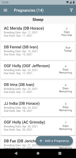 Birthing Planner Screen 2