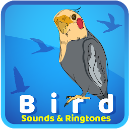 Icon image Bird Sounds & Ringtones
