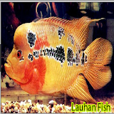 Laouhan Fish icon