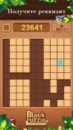 Game screenshot Woodoku：Настольные игры apk download