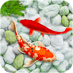 Cover Image of Download KOI Fish Live Wallpaper : New fish Wallpaper 2020 2.1 APK