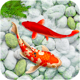 KOI Fish Live Wallpaper : New fish Wallpaper 2020 icon