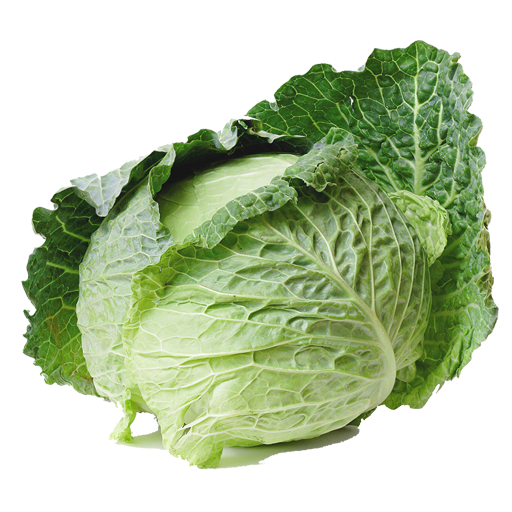 Cabbage from A to Z logo