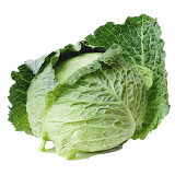 Cabbage from A to Z icon